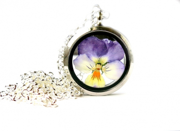 Hornveilchen im Medaillon