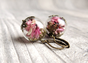 Echte Blüten Ohrringe Ginster - Vintage bronze Style / pink rosa Blüten Ohrhänger / Terrarium Ohrringe / Geschenk für Sie / Blütenschmuck