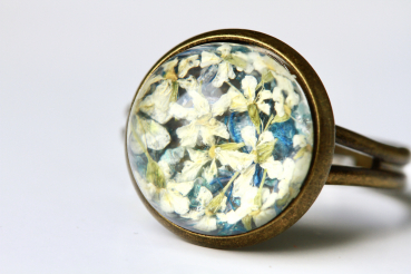 Ring gepresste Blüten Dillblüte Kornblüte