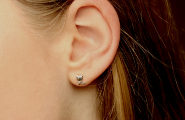 Silber Ohrstecker Waschbär / Geschenk für Sie / Tier Ohrring / minimalistischer Schmuck / Kinderschmuck / Echtschmuck Silber Ohrringe