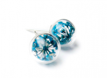 925 Sterling Ohrstecker - Blüte der Dillblüte blau