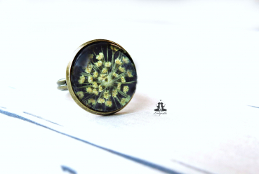 Großer Ring - Echte Dillblüte natur