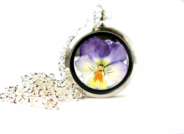 Hornveilchen im Medaillon