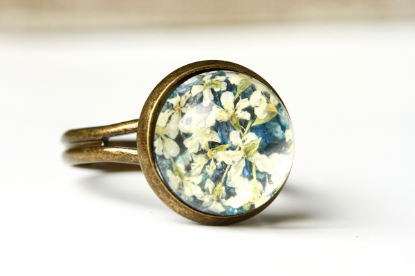 Ring gepresste Blüten Dillblüte Kornblüte