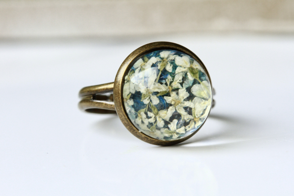 Ring gepresste Blüten Dillblüte Kornblüte