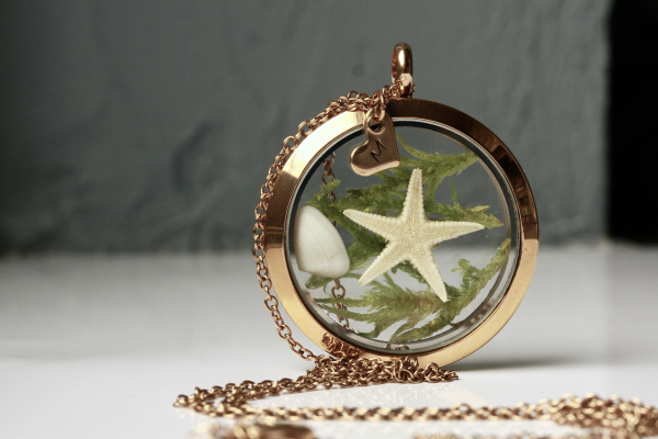 Medaillon Seestern Initial mit Muschel personalisierten Herz rosegoldfarben Edelstahl Terrarium