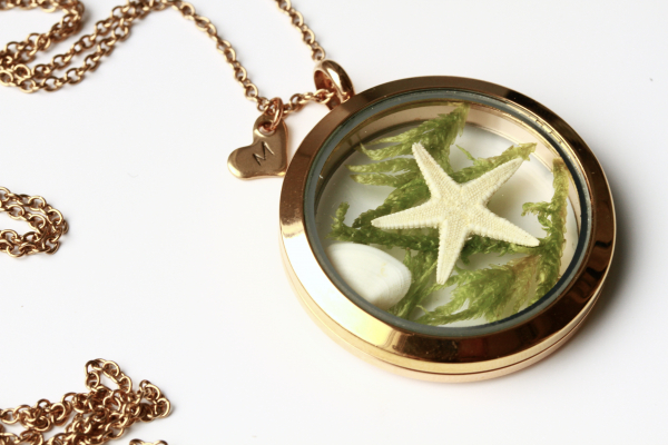 Medaillon Seestern Initial mit Muschel personalisierten Herz rosegoldfarben Edelstahl Terrarium