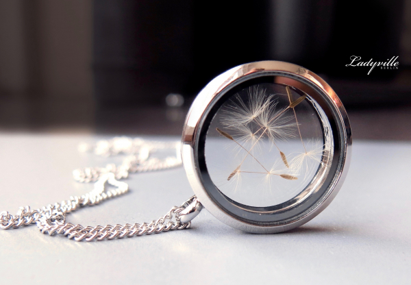 Pusteblume im Medaillon