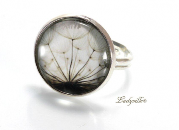 Großer Ring - Pusteblume in der Abenddämmerung