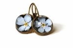 Ohrringe Vergissmeinnicht Antik Bronze im Vintage Style Gepresste Blüte hinter Glas als romantisches Geschenk für sie und für Verliebte
