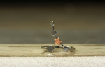 Edelstahl Himmelskörper Ring als Morning Star Statementring und himmlisches Geschenk für sie mit Planetenkonstellation und Kupfer Stern